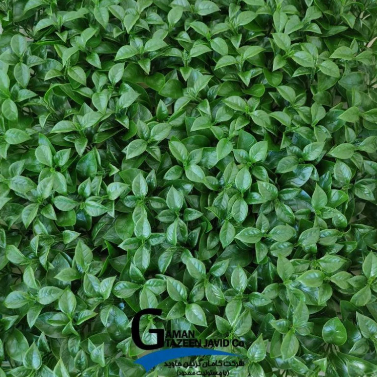 گرین وال(دیوار سبز) برگ پرتقالی 50در50 cm پرتراکم گامان(پس کرایه)