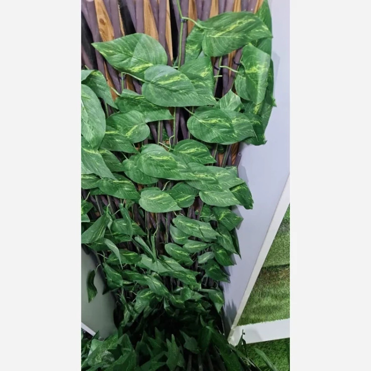 پنل حصار آکاردئونی برگ پتوس ابعاد 1در2متر شاسی PVC(پس کرایه)