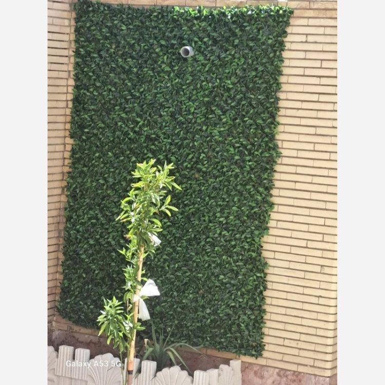 فنس برگی (ریحون) پرتراکم دهنه 5در5رویال سبز (پس کرایه)