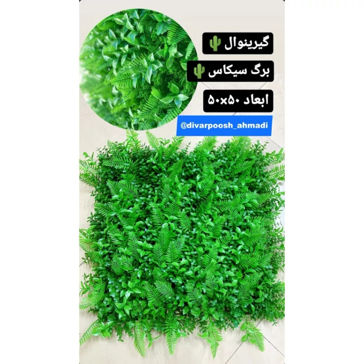 گرین وال برگ سیکاس (دیوار سبز) ابعاد 50در50 cm (پس کرایه)