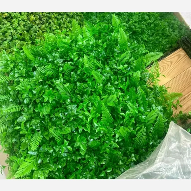 گرین وال برگ سیکاس گشنیز ابعاد 50در50 cm (دیوار سبز/گرینوال)(پس کرایه)