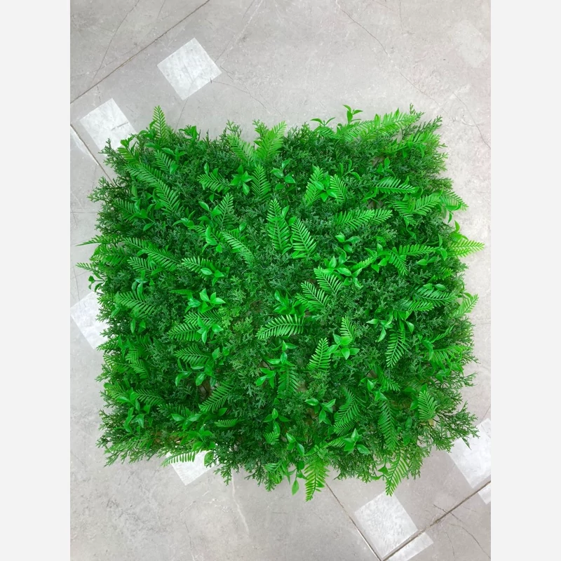 گرین وال برگ سیکاس کاج (دیوار سبز) ابعاد 50در50 cm، (پس کرایه)