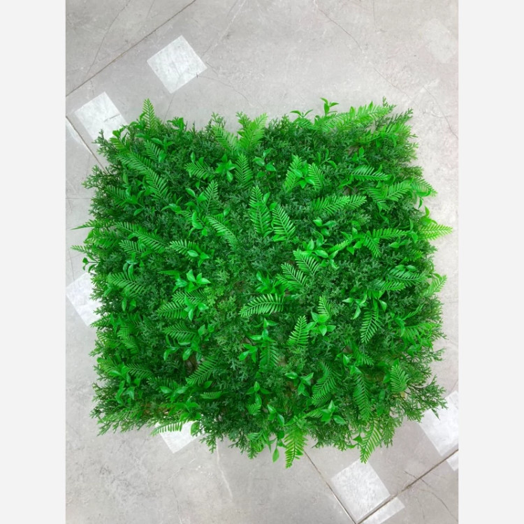 گرین وال برگ سیکاس کاج (دیوار سبز) ابعاد 50در50 cm، (پس کرایه)