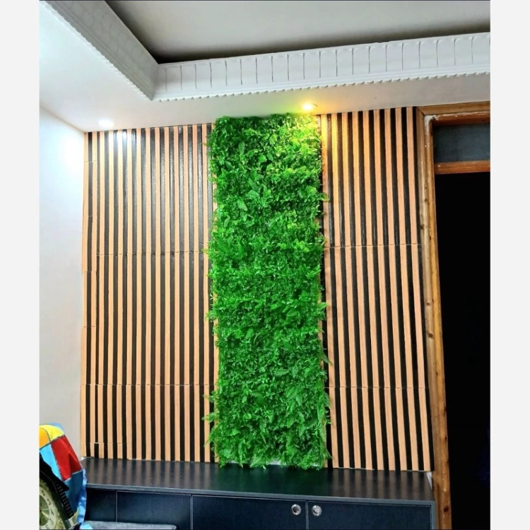 گرین وال برگ سیکاس کاج (دیوار سبز) ابعاد 50در50 cm، (پس کرایه)