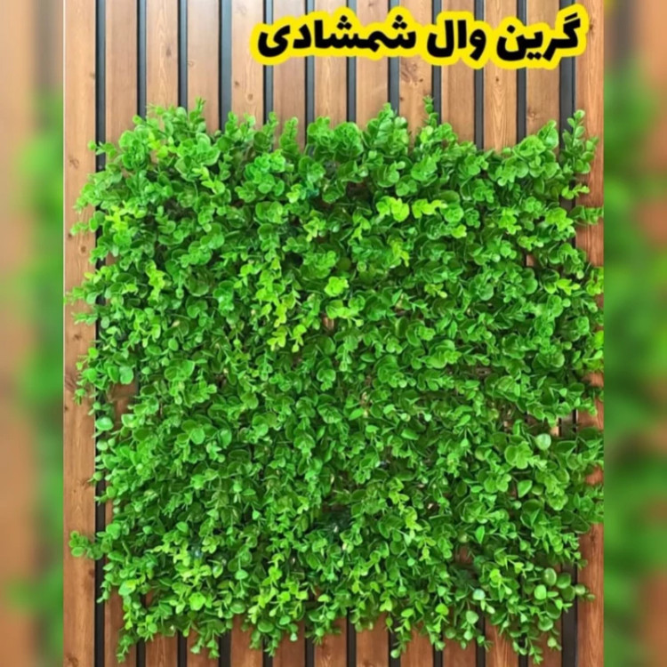 گرین وال شمشادی پرتراکم (دیوار سبز) 50در50 cm،(پس کرایه )