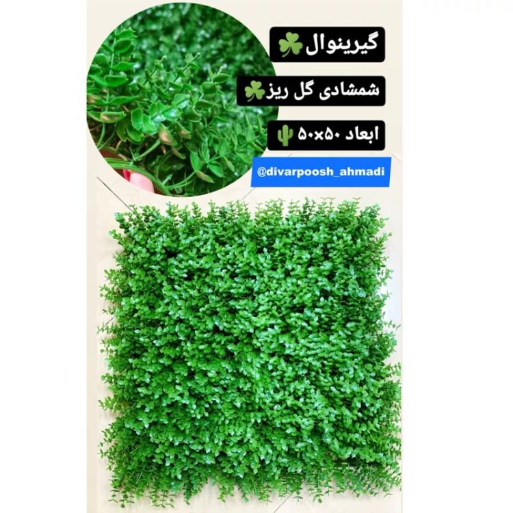 گرین وال شمشادی پرتراکم (دیوار سبز) 50در50 cm،(پس کرایه )