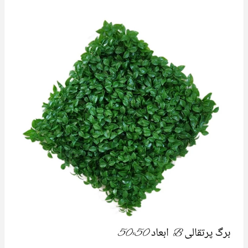 گرین وال(دیوار سبز) برگ پرتقالی 50در50 cm پرتراکم رویال سبز(پس کرایه)
