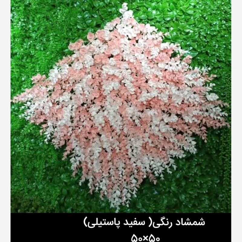 گرین وال(دیوار سبز) شمشاد سفیدپاستیلی 50در50 cm پرتراکم رویال سبز(پس کرایه)