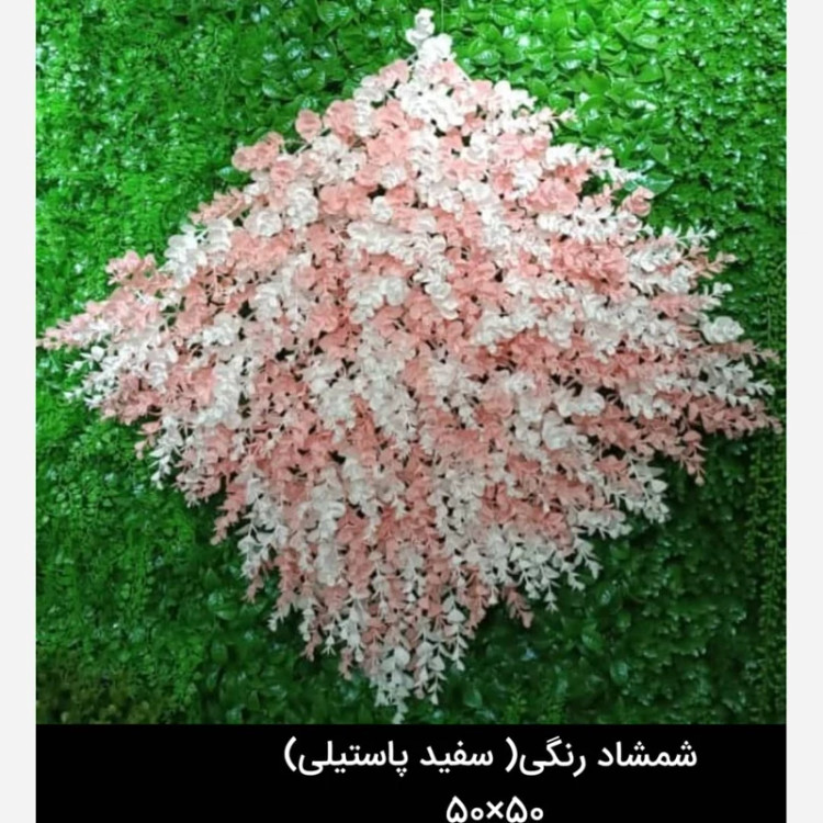 گرین وال(دیوار سبز) شمشاد سفیدپاستیلی 50در50 cm پرتراکم رویال سبز(پس کرایه)