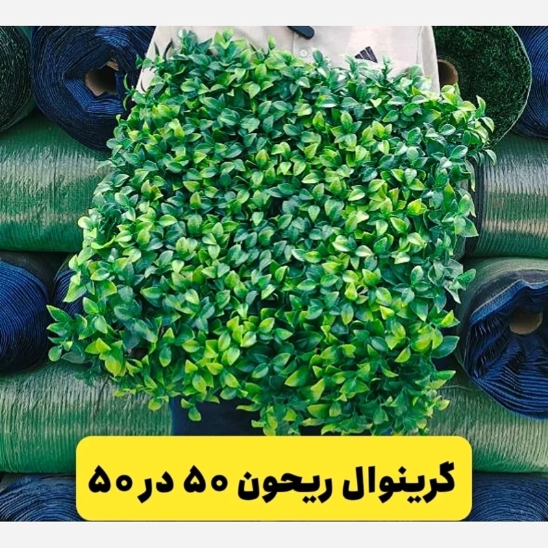 گرین وال (دیوار سبز) ریحون یا ریحان 50در50 cm پرتراکم رویال سبز(پس کرایه)
