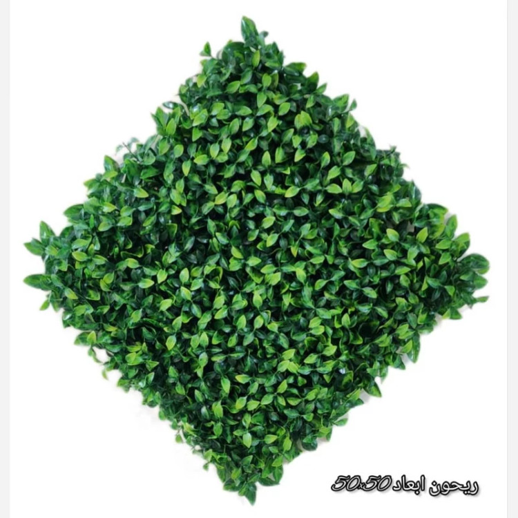 گرین وال (دیوار سبز) ریحون یا ریحان 50در50 cm پرتراکم رویال سبز(پس کرایه)