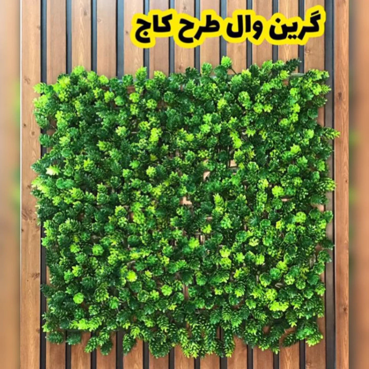گرین وال کاج پرتراکم (دیوار سبز) ابعاد 50در50 cm (پس کرایه)
