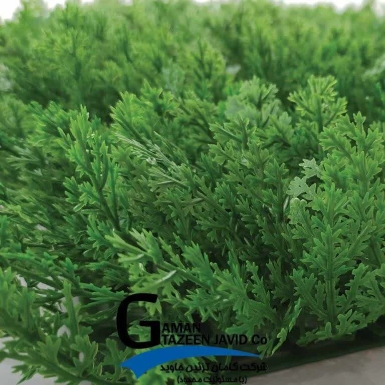 گرین وال (دیوار سبز) کاج 50در50 cm پرتراکم، گامان (پس کرایه)