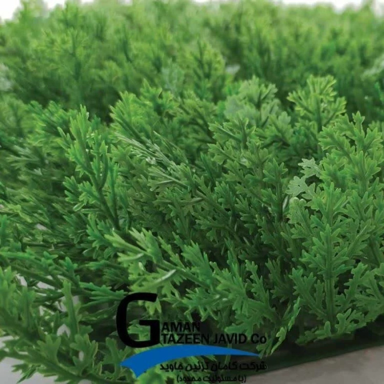 گرین وال (دیوار سبز) کاج 50در50 cm پرتراکم، گامان (پس کرایه)