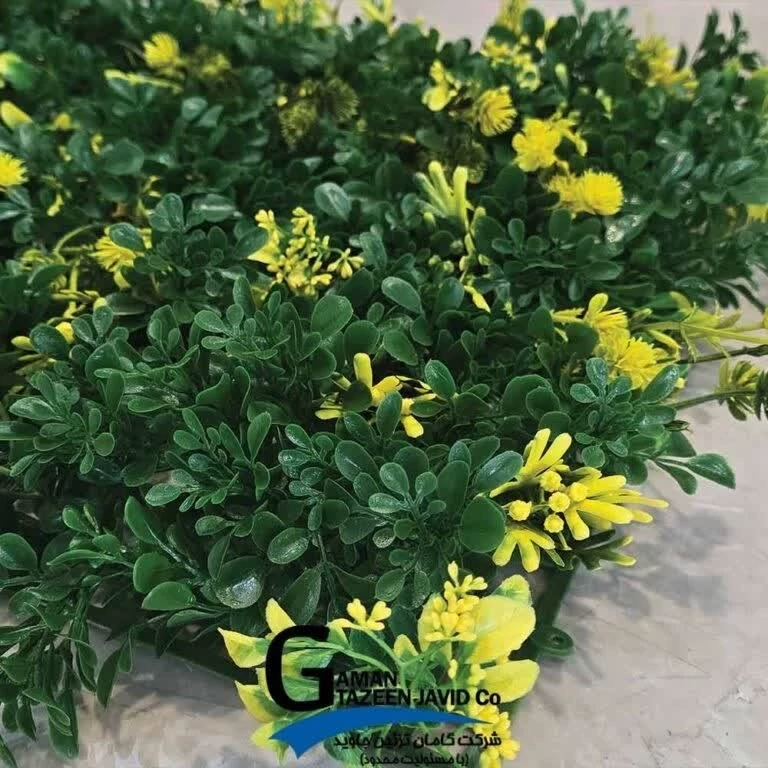 گرین وال زرد سبز ابعاد 30در40 cm، گامان (دیوار سبز)(پس کرایه)