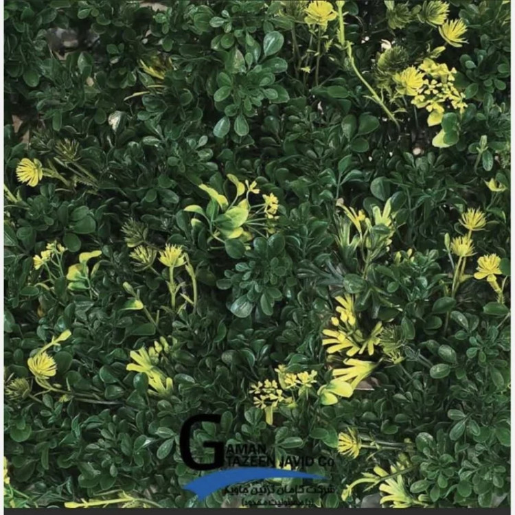 گرین وال زرد سبز ابعاد 30در40 cm، گامان (دیوار سبز)(پس کرایه)