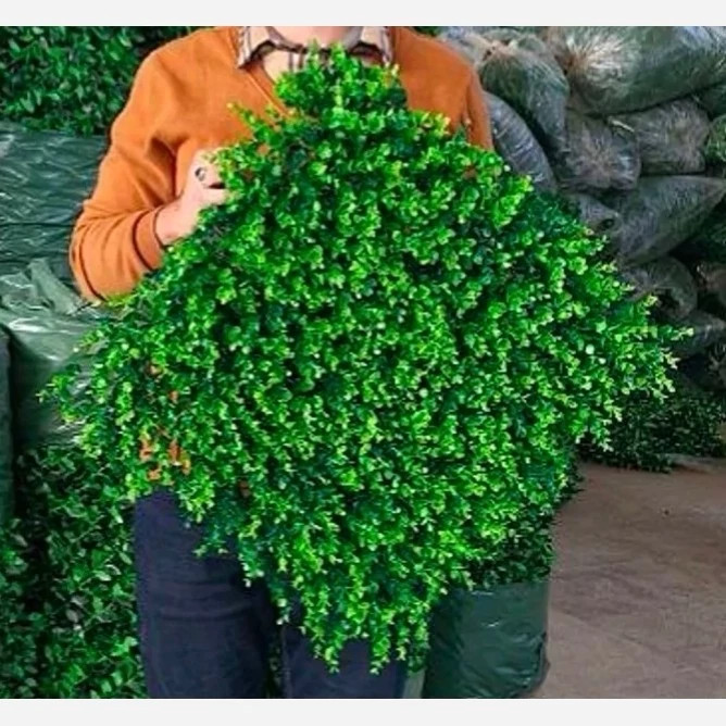 گرین وال شمشاد سبز دو رنگ ابعاد 50در50 cm (دیوار سبز/گرینوال)(پس کرایه)