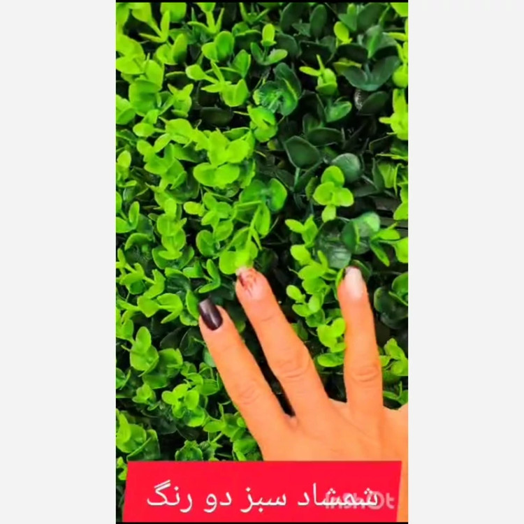 گرین وال شمشاد سبز دو رنگ ابعاد 50در50 cm (دیوار سبز/گرینوال)(پس کرایه)