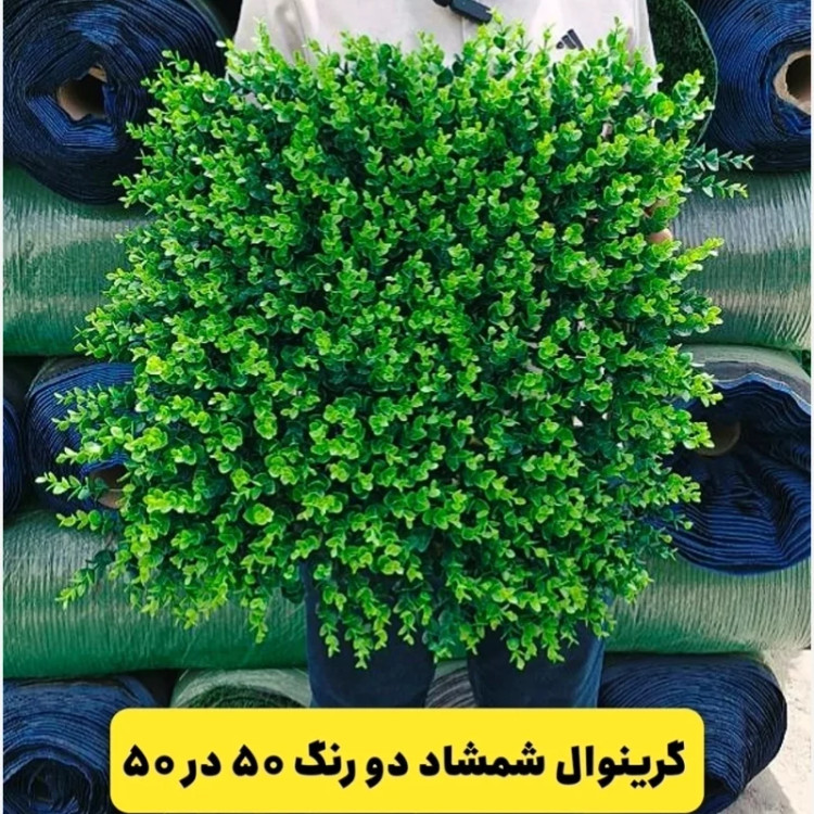 گرین وال شمشاد سبز دو رنگ ابعاد 50در50 cm (دیوار سبز/گرینوال)(پس کرایه)