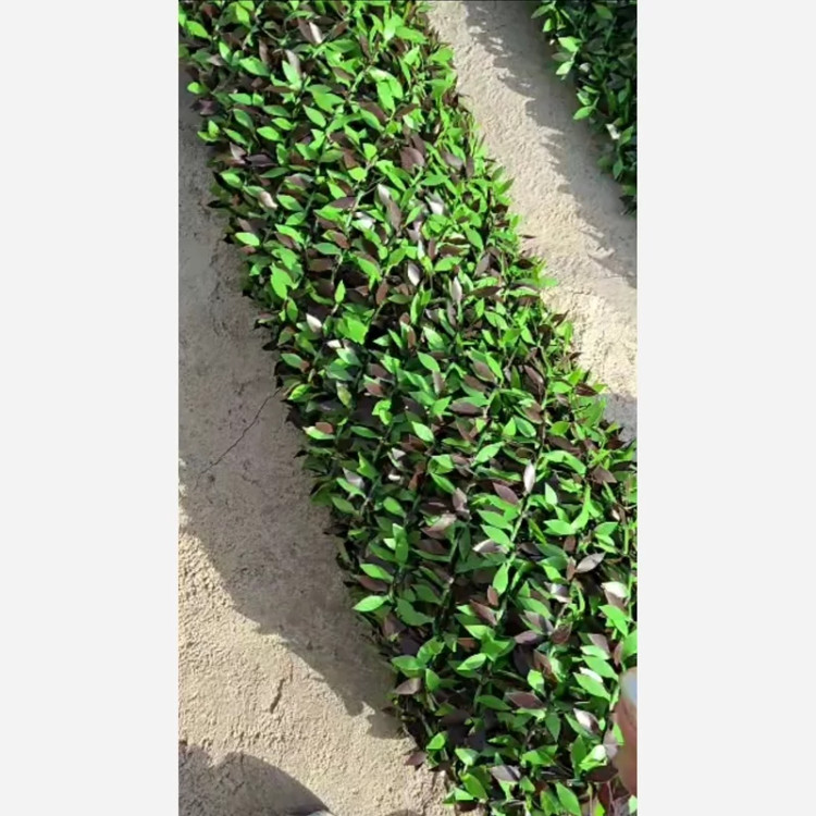 فنس برگی (ریحون) سبز و ارغوانی پرتراکم دهنه 5در5 رویال سبز (پس کرایه)