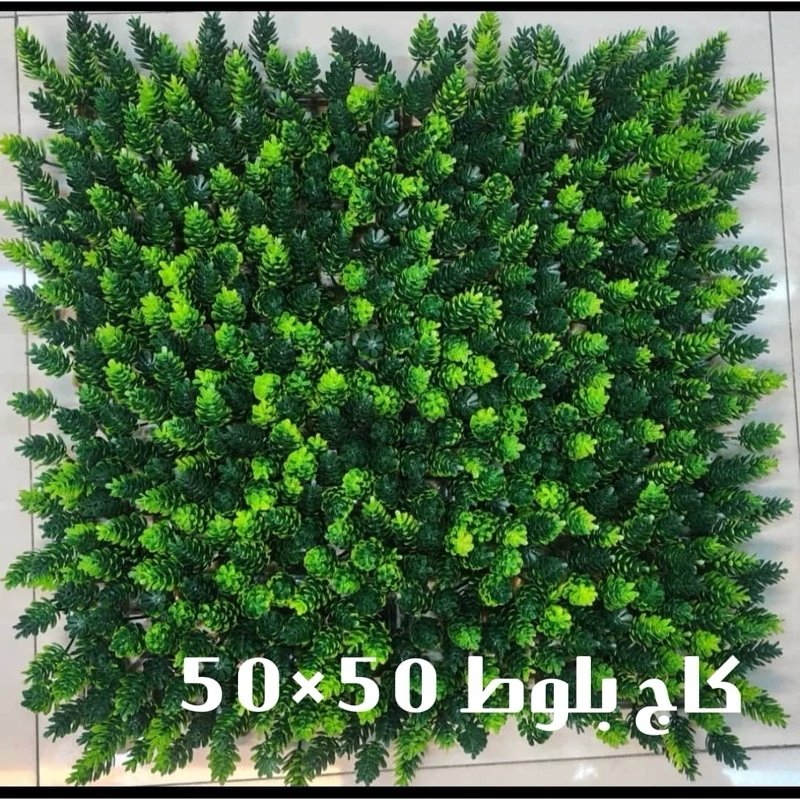 گرین وال (دیوار سبز) کاج بلوط 50در50 cm (پسکرایه)