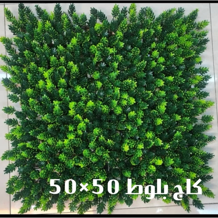 گرین وال (دیوار سبز) کاج بلوط 50در50 cm (پسکرایه)