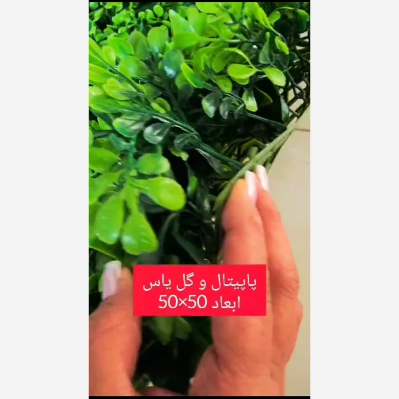 گرین وال پاپیتال و گل یاس ابعاد 50در50 cm (دیوار سبز/گرینوال)(پس کرایه)