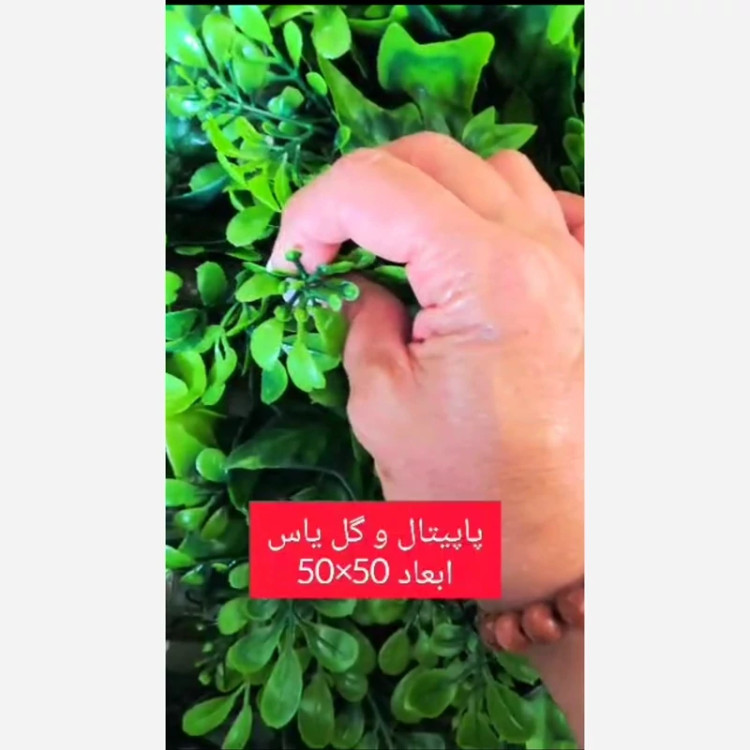 گرین وال پاپیتال و گل یاس ابعاد 50در50 cm (دیوار سبز/گرینوال)(پس کرایه)