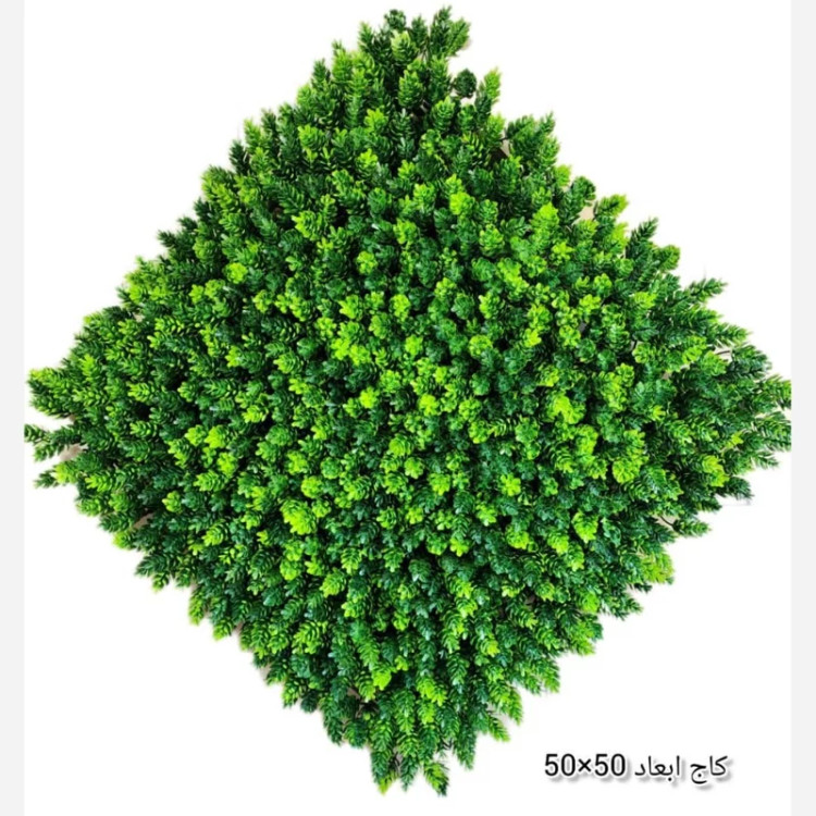 گرین وال (دیوار سبز) کاج 50در50 cm پرتراکم رویال سبز(پس کرایه)