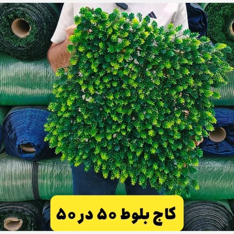 گرین وال (دیوار سبز) کاج 50در50 cm پرتراکم رویال سبز(پس کرایه)