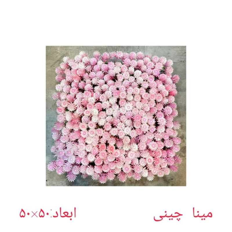 گرین وال (دیوار سبز) مینا صورتی سفید 50در50 cm (پس کرایه)