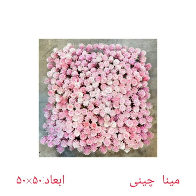 گرین وال (دیوار سبز) مینا صورتی سفید 50در50 cm (پس کرایه)