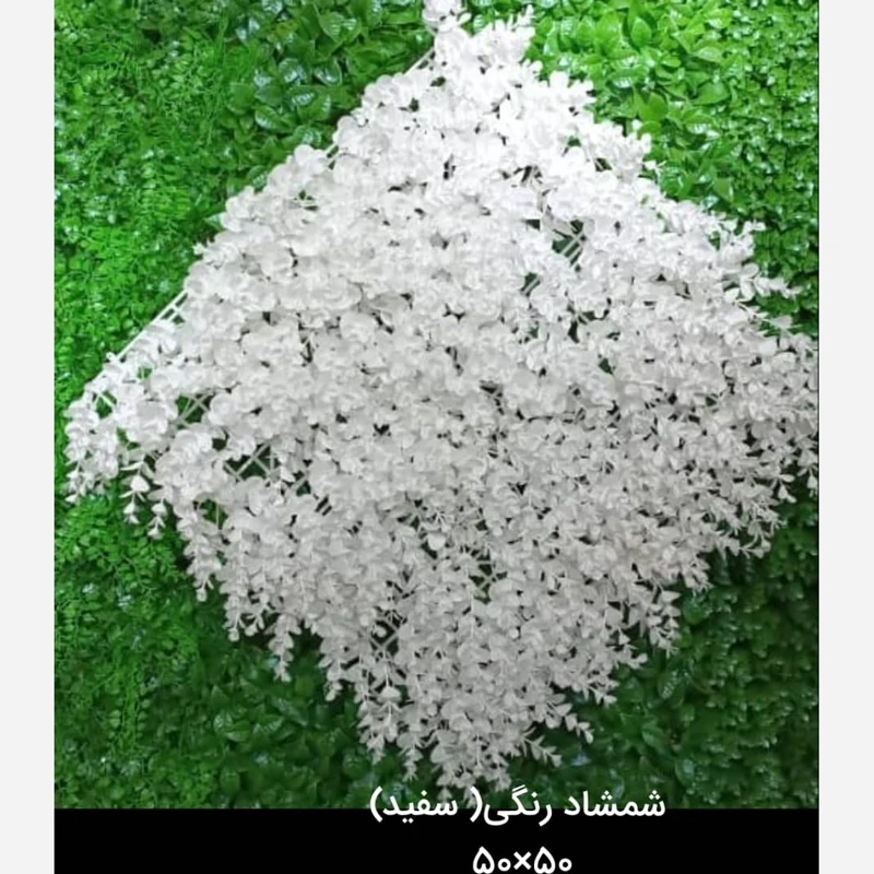 گرین وال(دیوار سبز) شمشاد سفید 50در50 cm پرتراکم رویال سبز(پس کرایه)