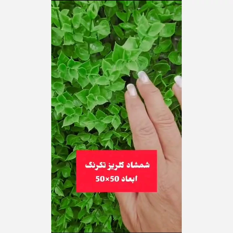 گرین وال شمشاد تک رنگ ابعاد 50در50 cm (دیوار سبز/گرینوال)(پس کرایه)