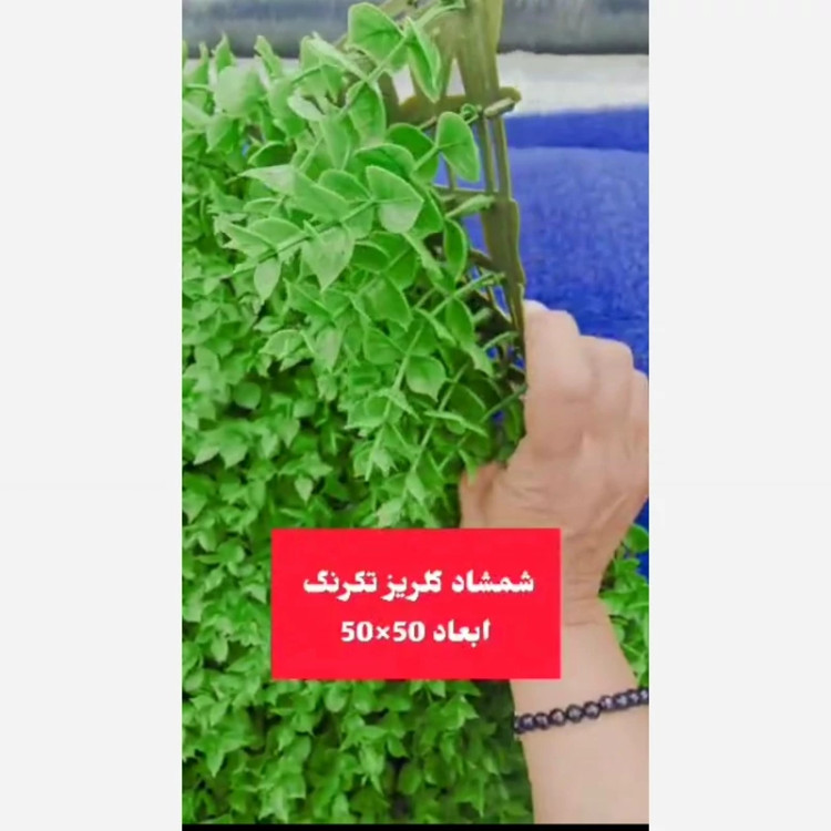 گرین وال شمشاد تک رنگ ابعاد 50در50 cm (دیوار سبز/گرینوال)(پس کرایه)