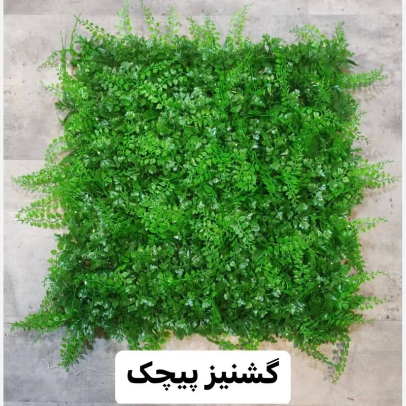 گرین وال (دیوار سبز) گشنیز پیچک 50در50 cm (پس کرایه)