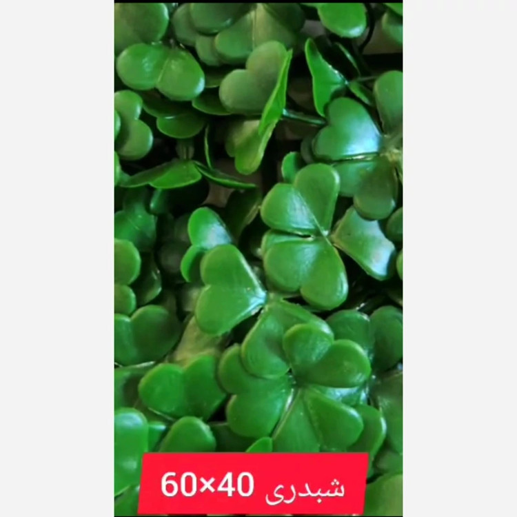 گرین وال شبدری ابعاد 40در60 cm (دیوار سبز/گرینوال)(پس کرایه)
