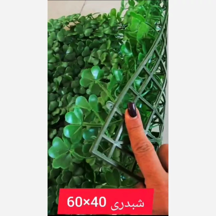 گرین وال شبدری ابعاد 40در60 cm (دیوار سبز/گرینوال)(پس کرایه)