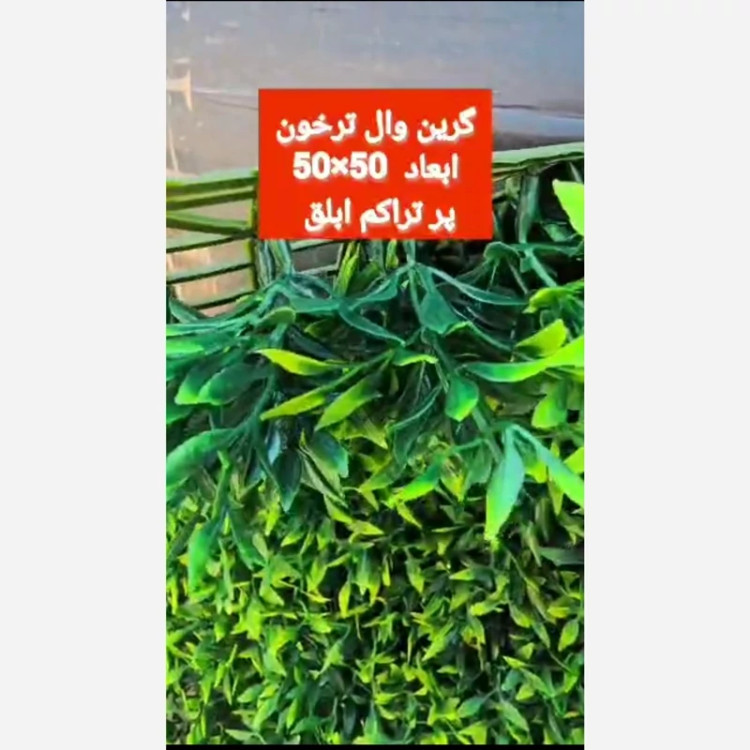 گرین وال ترخون پرتراکم ابلق ابعاد 50در50 cm (دیوار سبز/گرینوال)(پس کرایه)