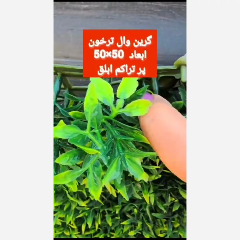 گرین وال ترخون پرتراکم ابلق ابعاد 50در50 cm (دیوار سبز/گرینوال)(پس کرایه)