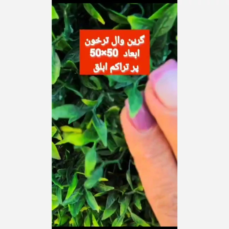 گرین وال ترخون پرتراکم ابلق ابعاد 50در50 cm (دیوار سبز/گرینوال)(پس کرایه)