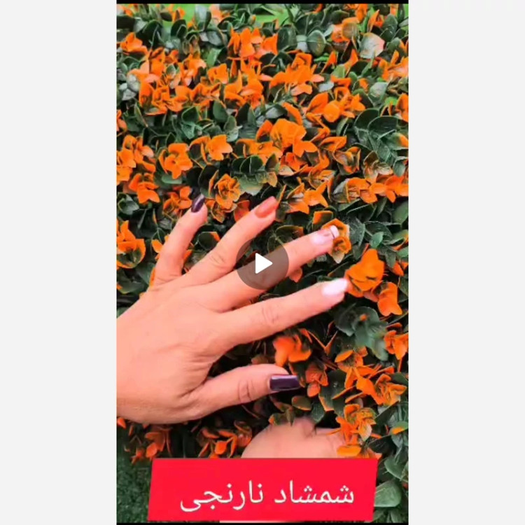 گرین وال شمشاد نارنجی ابعاد 40در60 cm (دیوار سبز/گرینوال)(پس کرایه)