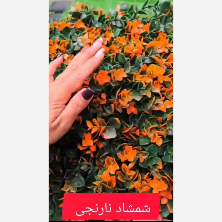 گرین وال شمشاد نارنجی ابعاد 40در60 cm (دیوار سبز/گرینوال)(پس کرایه)