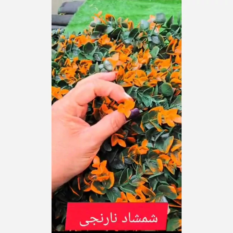 گرین وال شمشاد نارنجی ابعاد 40در60 cm (دیوار سبز/گرینوال)(پس کرایه)