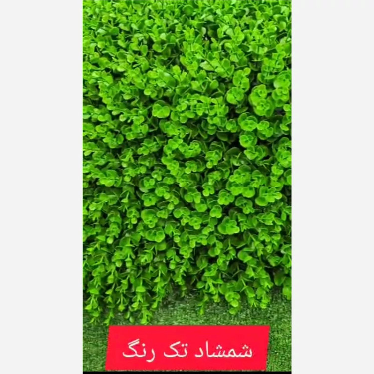 گرین وال شمشاد گلریز تکرنگ ابعاد 50در50 cm (دیوار سبز/گرینوال)(پس کرایه)