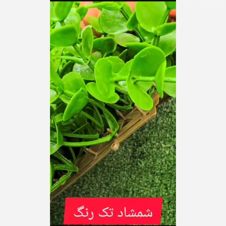 گرین وال شمشاد گلریز تکرنگ ابعاد 50در50 cm (دیوار سبز/گرینوال)(پس کرایه)