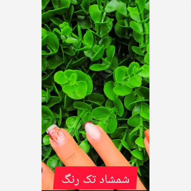 گرین وال شمشاد گلریز تکرنگ ابعاد 50در50 cm (دیوار سبز/گرینوال)(پس کرایه)