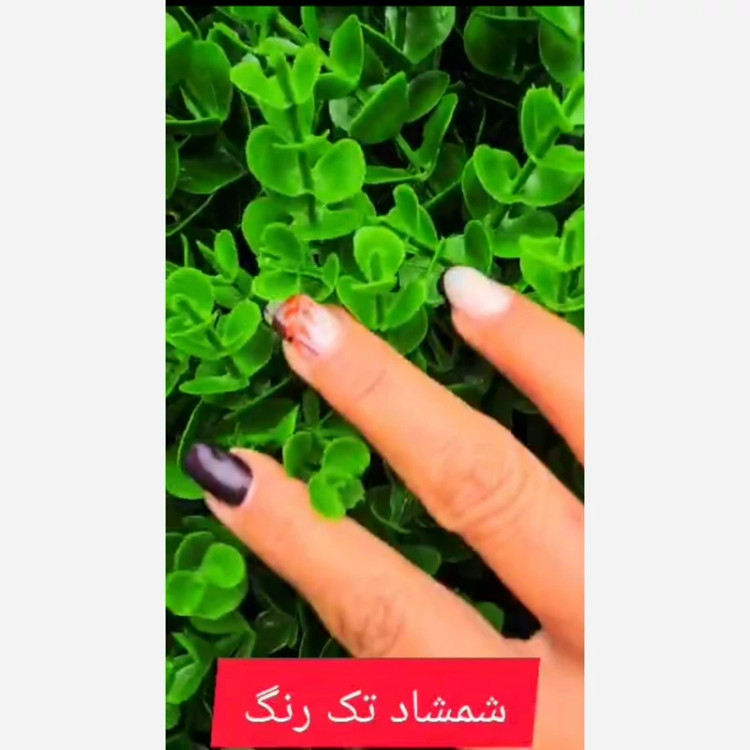 گرین وال شمشاد گلریز تکرنگ ابعاد 50در50 cm (دیوار سبز/گرینوال)(پس کرایه)