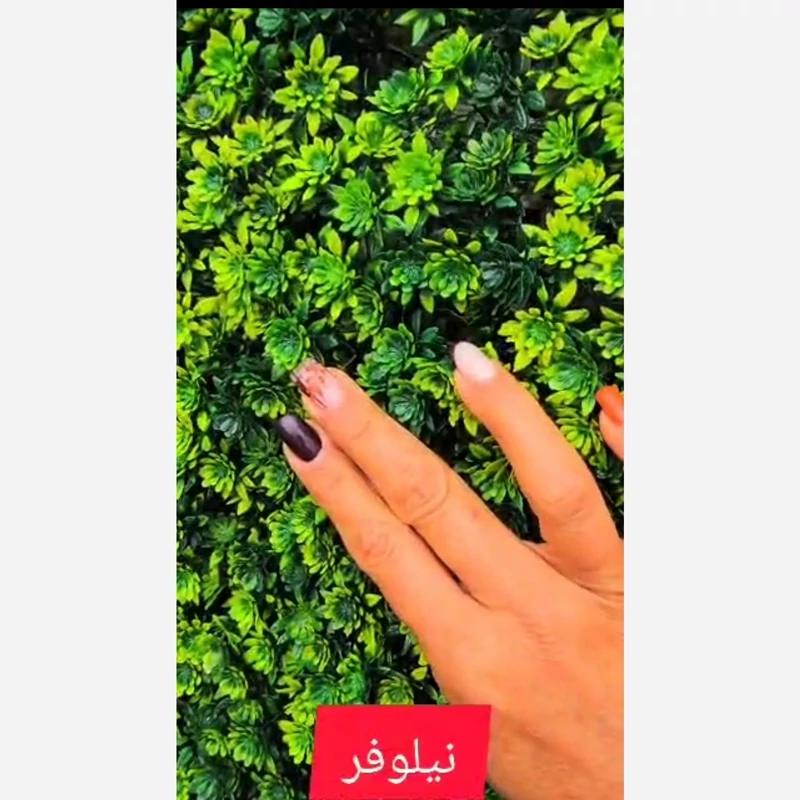 گرین وال نیلوفر ابعاد 50در50 cm (دیوار سبز/گرینوال)(پس کرایه)