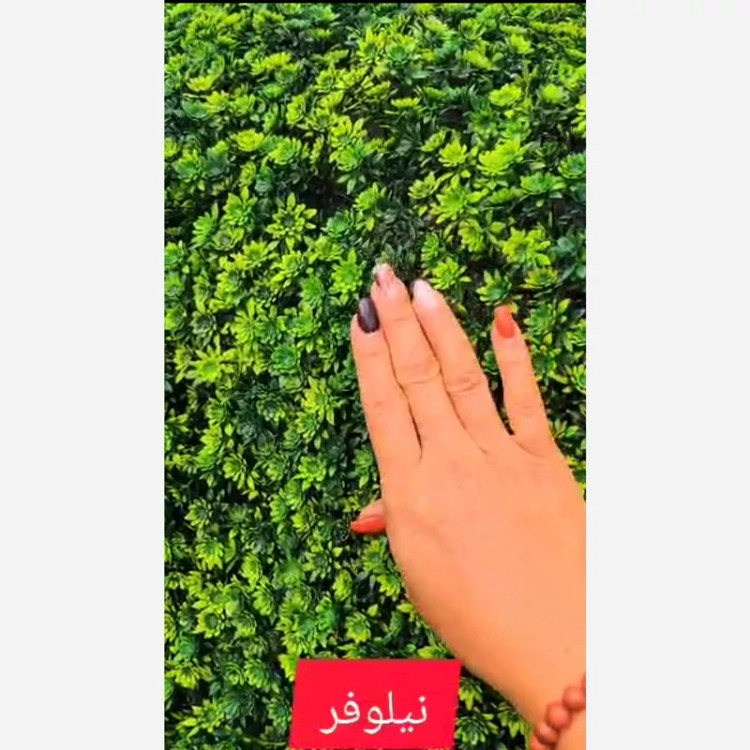 گرین وال نیلوفر ابعاد 50در50 cm (دیوار سبز/گرینوال)(پس کرایه)